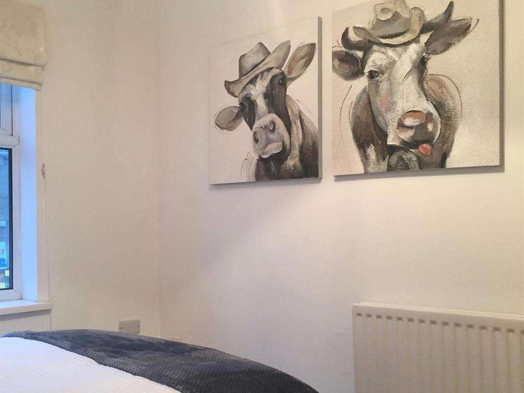Durham Serviced Properties - The Sanctuary Rom bilde